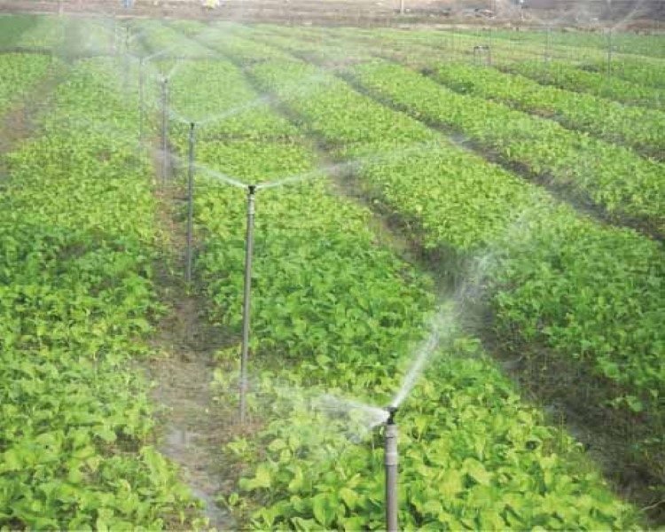 Water Conservation and Productivity Enhancement through High Efficiency Irrigation Systems Project